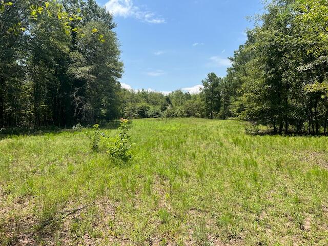 3395 Gough Road Louisville, GA 30434 - Photo 26 of 30 IMG_3363 (1)