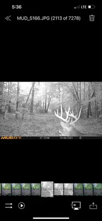 $385,000 | 3395 Gough Road, Louisville, GA 30434