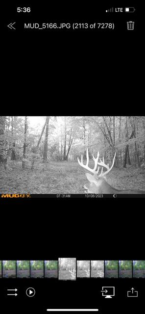 3395 Gough Road Louisville, GA 30434 - Photo 27 of 30 IMG_6725