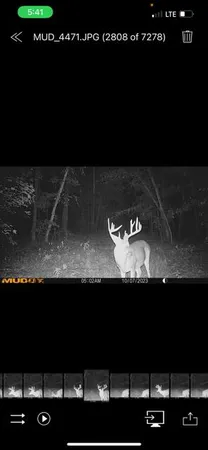 $385,000 | 3395 Gough Road, Louisville, GA 30434