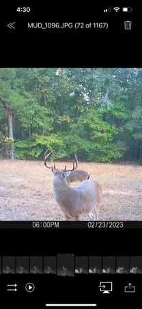 $385,000 | 3395 Gough Road, Louisville, GA 30434