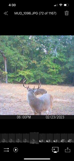 3395 Gough Road Louisville, GA 30434 - Photo 29 of 30 IMG_7995