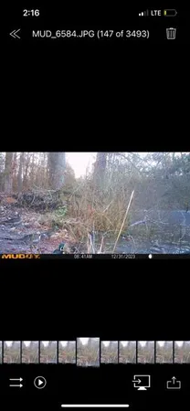 $385,000 | 3395 Gough Road, Louisville, GA 30434