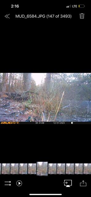 3395 Gough Road Louisville, GA 30434 - Photo 30 of 30 IMG_7115