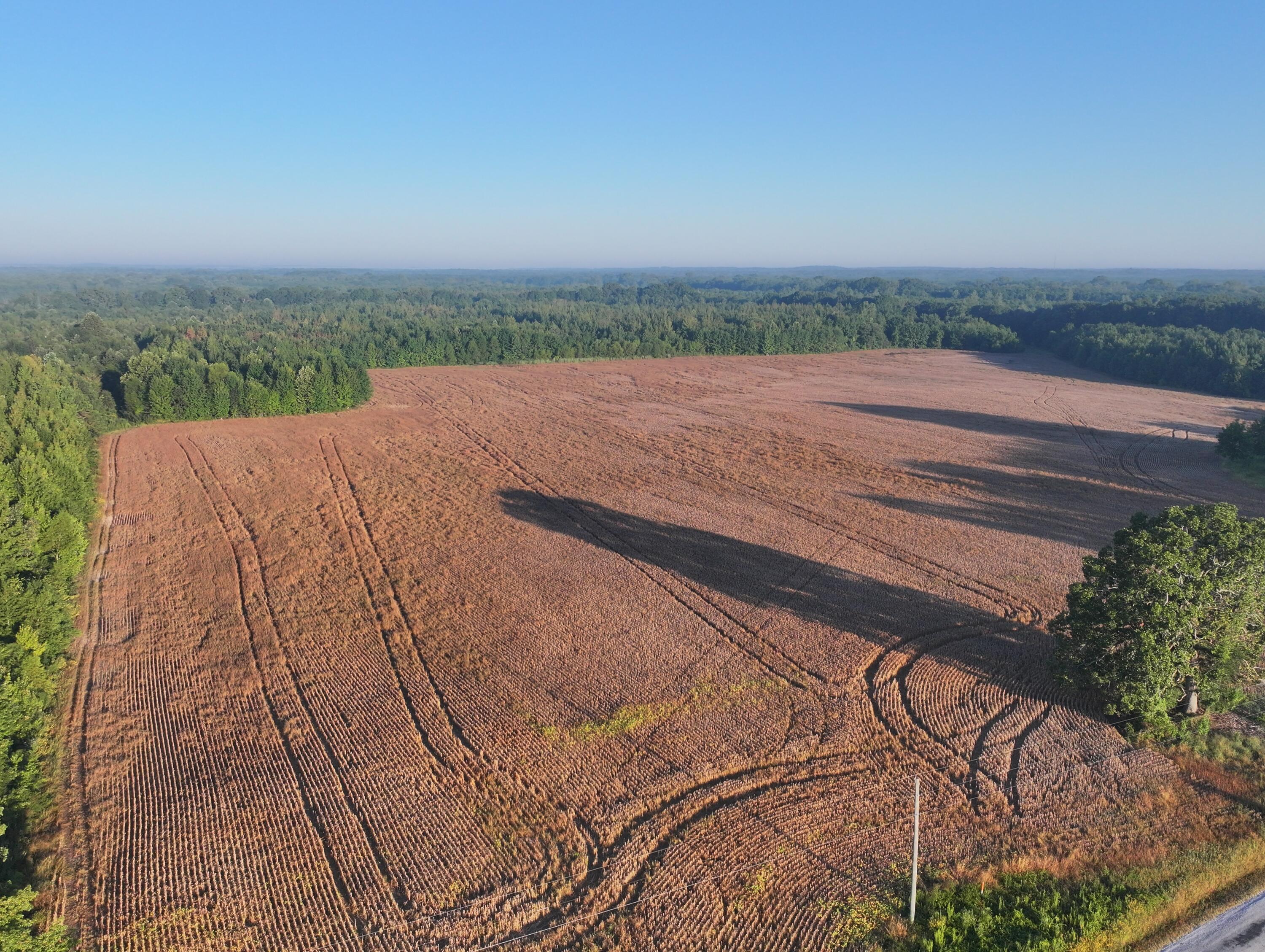 87 County Road New Albany, MS 38652 - Photo 4 of 17 Gallery Image 4