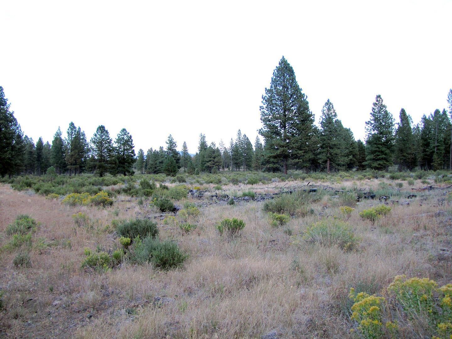 0 Sprague River Road Chiloquin, OR 97624 - Photo 13 of 15 Additional Photo