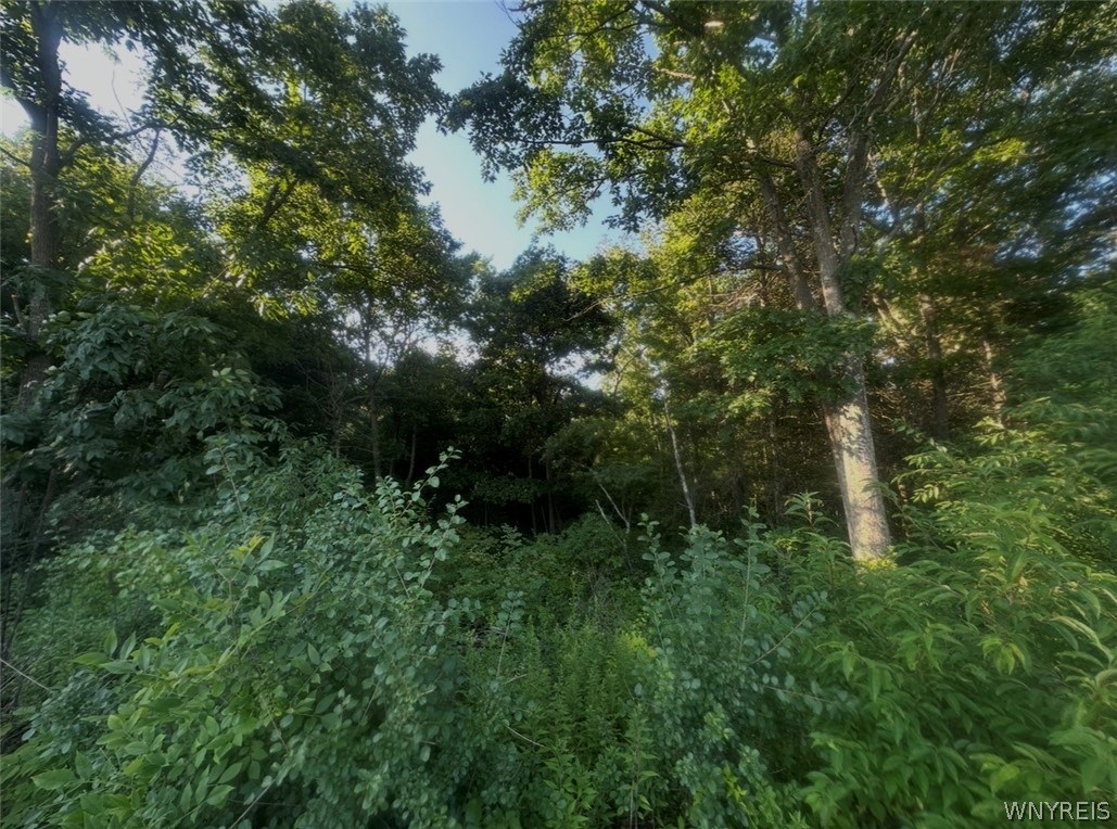 Commons Road Germantown, NY 12526 - Photo 7 of 11 Gallery Image 7