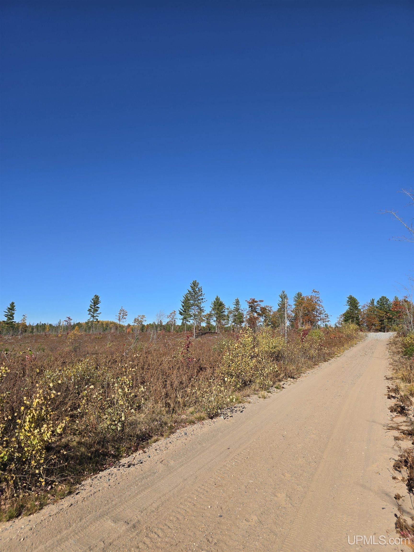 240-acres Co Rd Aaa Road Big Bay, MI 49808 - Photo 9 of 25
