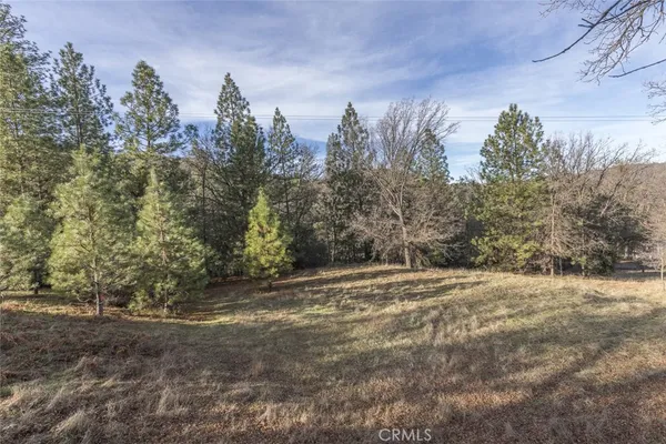a view of a yard with a tree