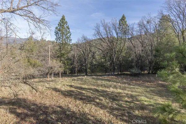 a view of a yard with a tree