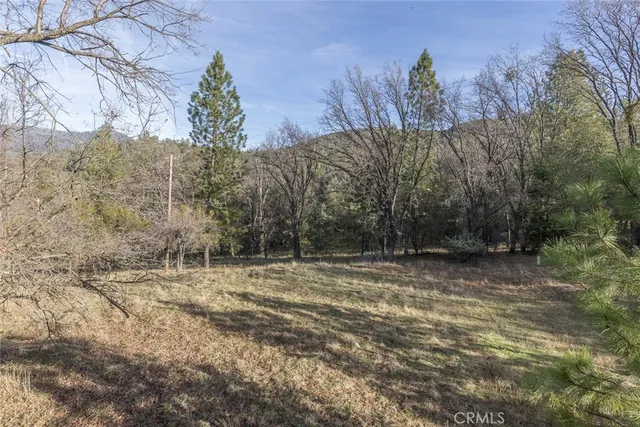 a view of a yard with a tree