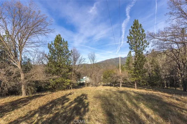 a view of a yard with a tree