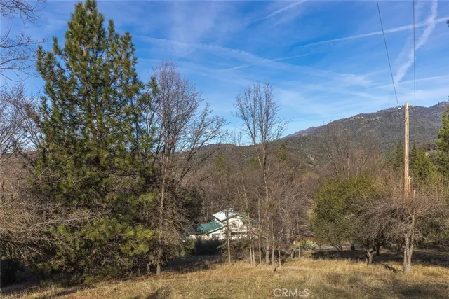 a view of outdoor space with trees