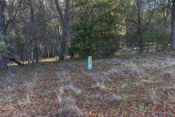 a view of outdoor space with trees