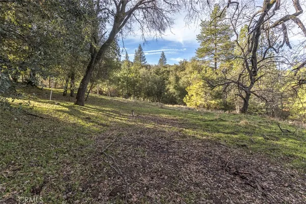 a view of outdoor space with trees
