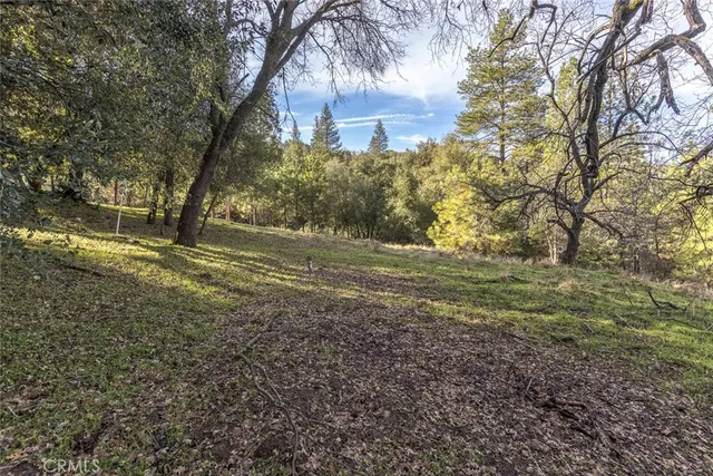 a view of outdoor space with trees