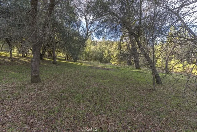 a view of mountain view with lots of trees