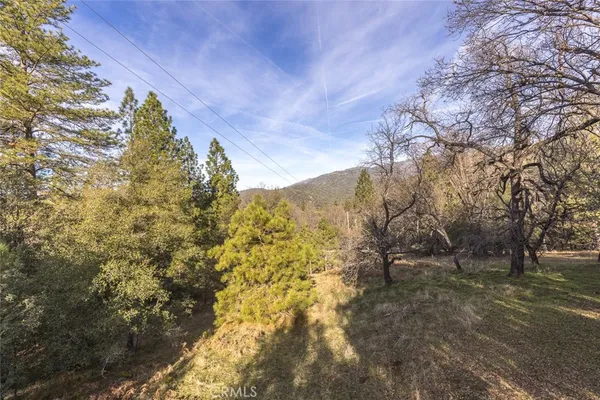 a view of dirt yard with a trees