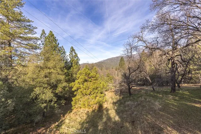a view of dirt yard with a trees
