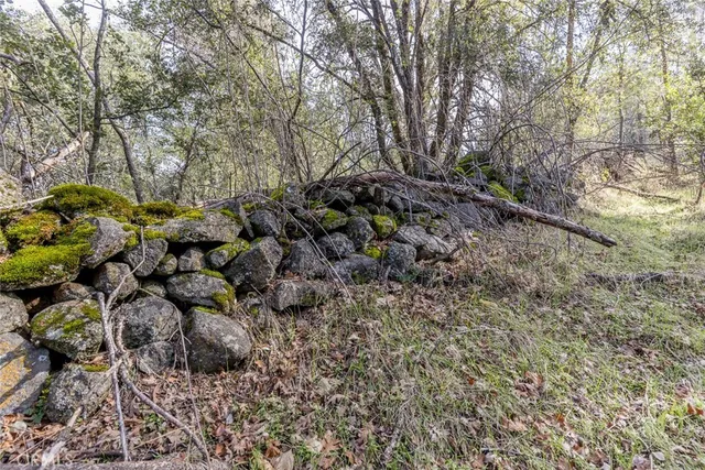 a view of covered with trees