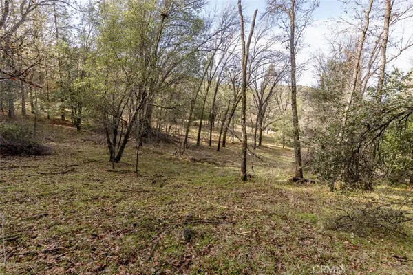 a view of dirt yard with trees