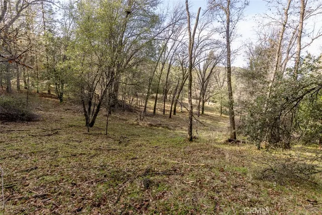 a view of dirt yard with trees