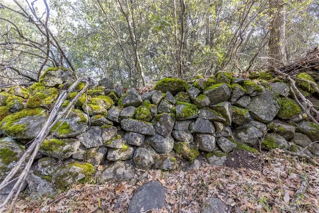 a view of outdoor space and yard