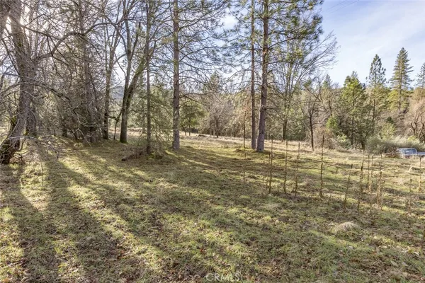 a view of yard with trees