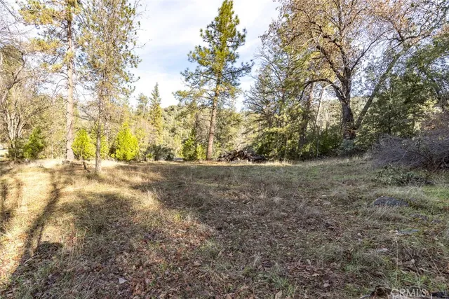 a view of a wooden floor with a yard