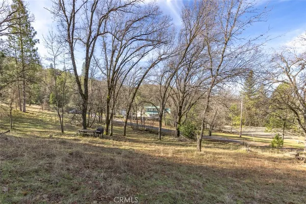 a view of dirt yard with a large tree