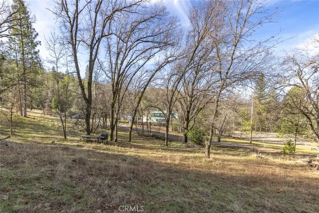 a view of dirt yard with a large tree