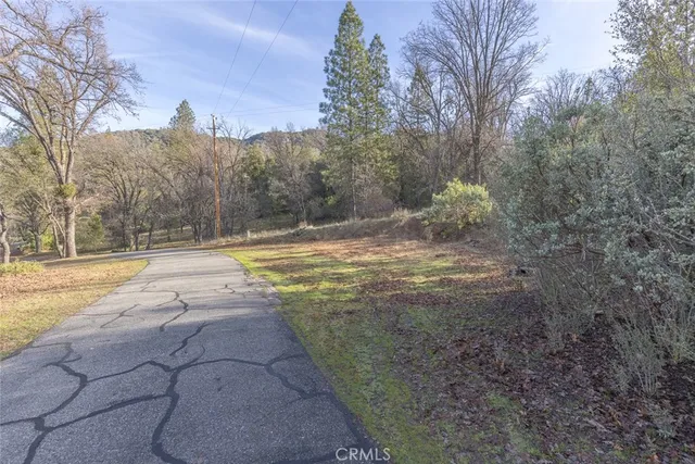 a view of a yard with trees