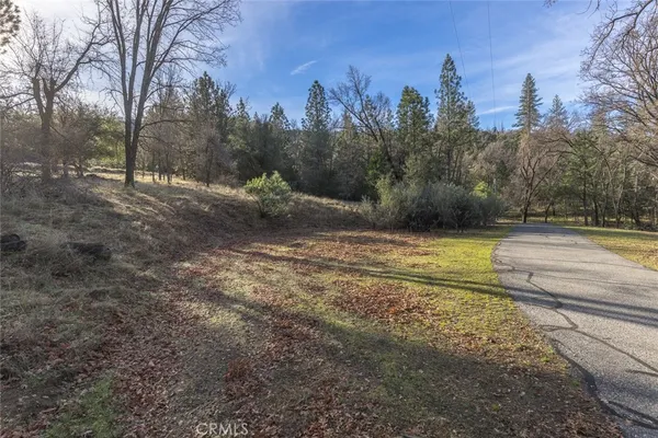a view of swimming pool with a yard