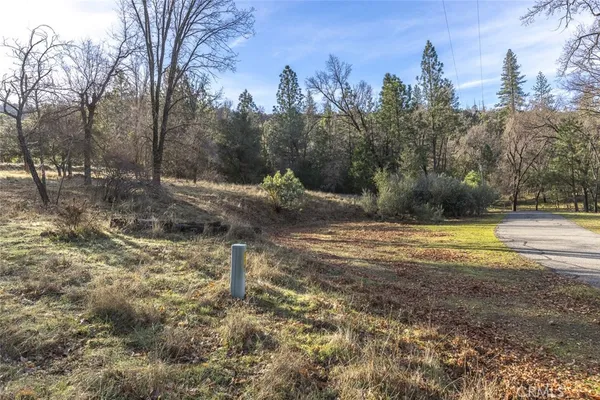 a view of a yard with a tree