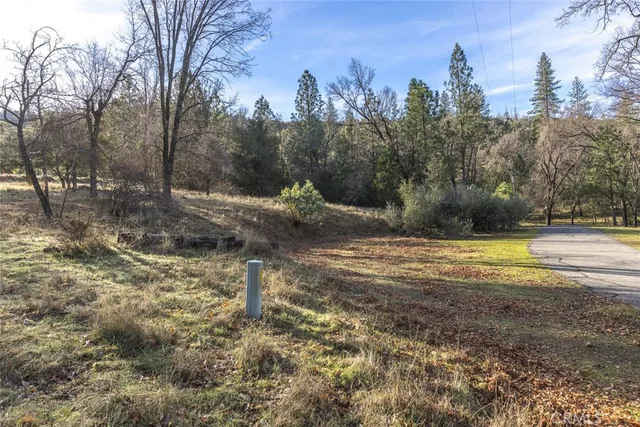 a view of a yard with a tree