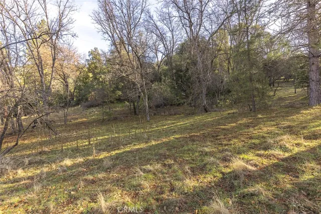 a view of outdoor space and yard