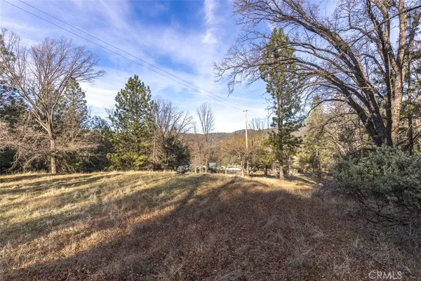 a view of a yard with trees in front of it