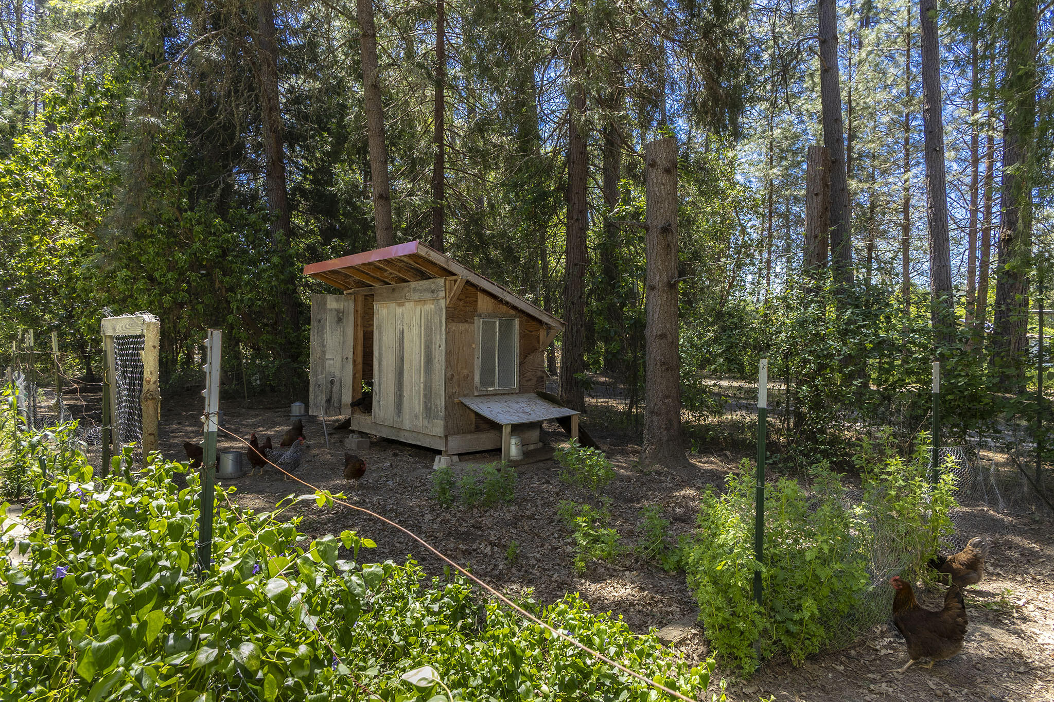 2601 Sand Creek Road Grants Pass, OR 97527 - Photo 49 of 71 48