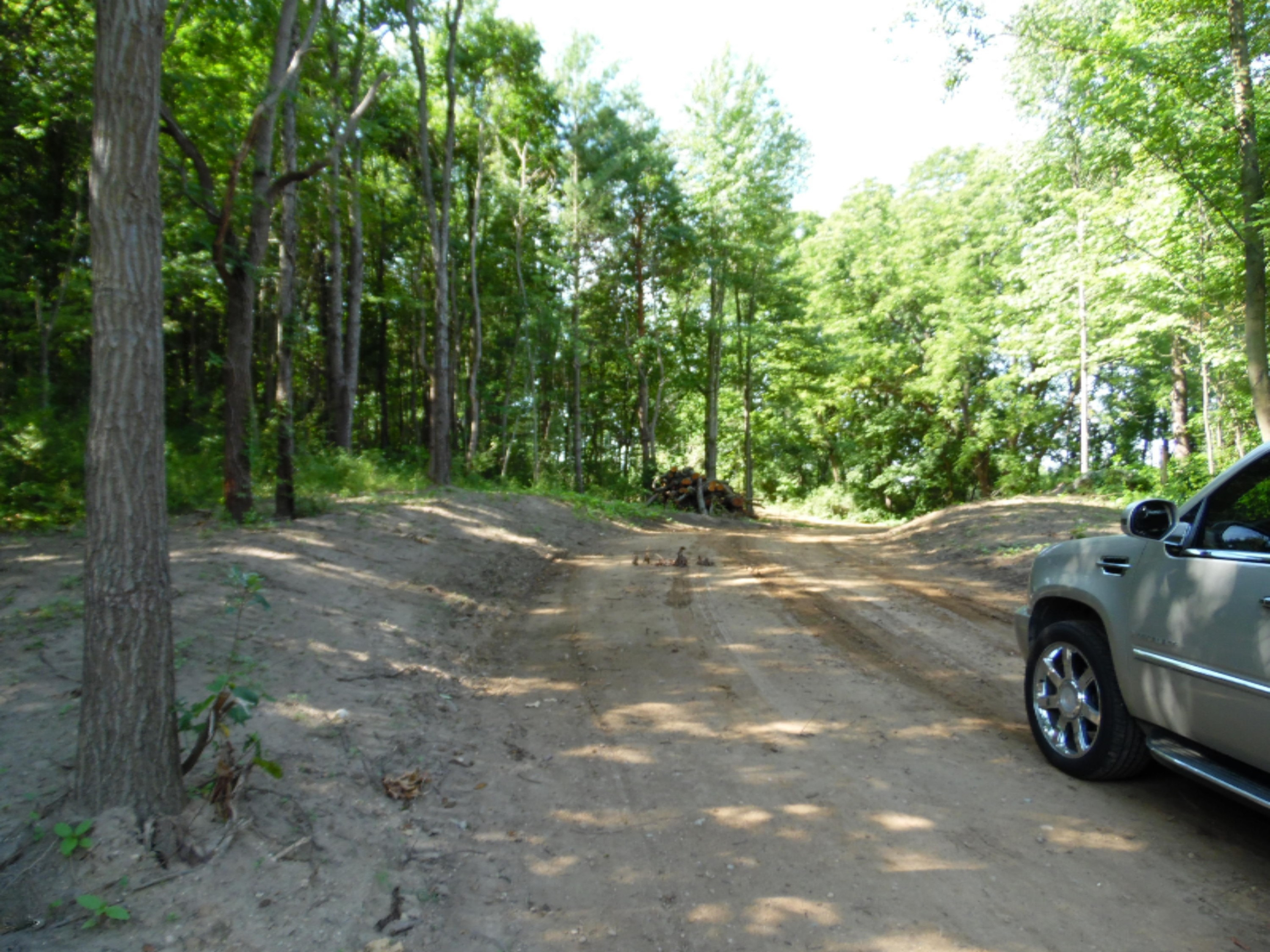 Lot A Graham Road Plainwell, MI 49080 - Photo 3 of 6 SAM_0010