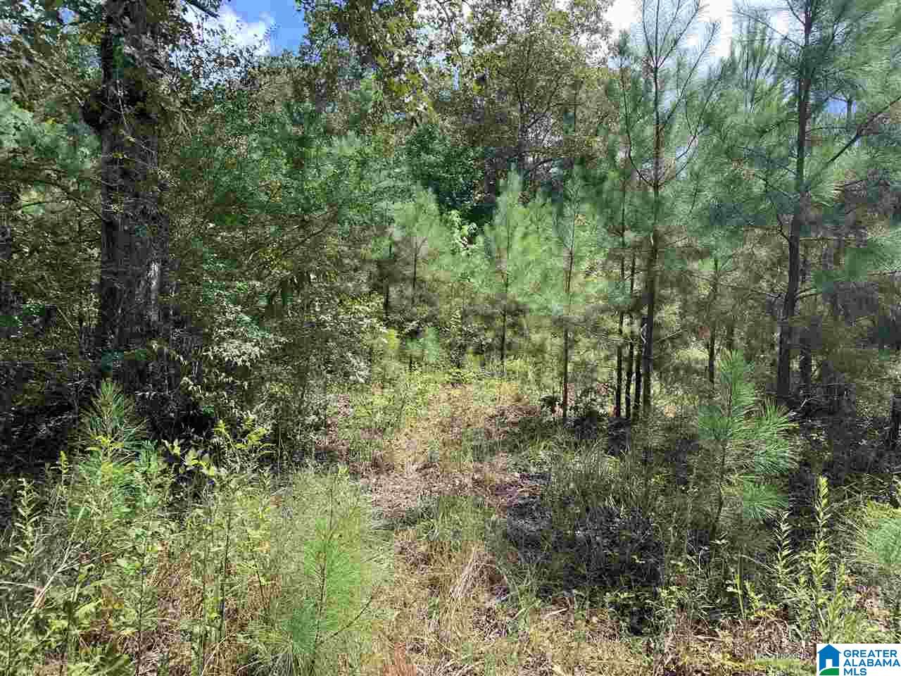 Mckesie Street, Unit 40 Riverside, AL 35135 - Photo 9 of 24