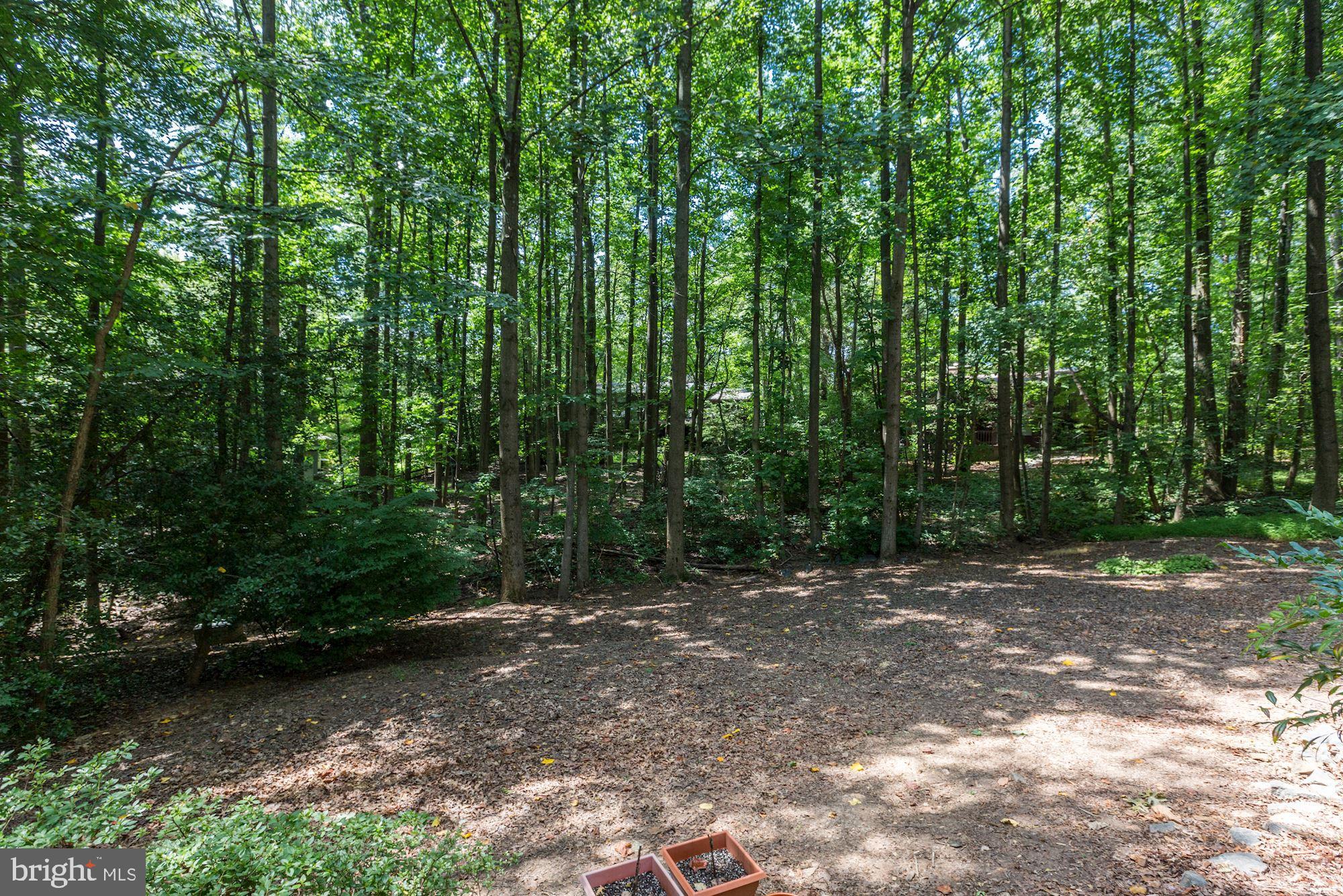 11593 Lake Newport Road Reston, VA 20194 - Photo 78 of 82