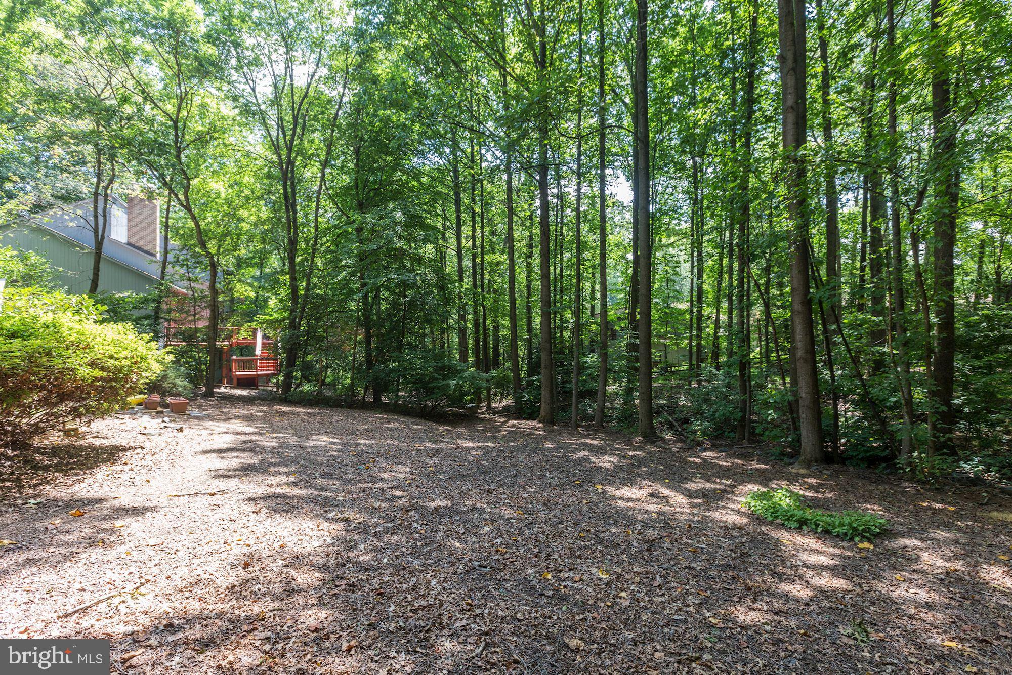 11593 Lake Newport Road Reston, VA 20194 - Photo 79 of 82