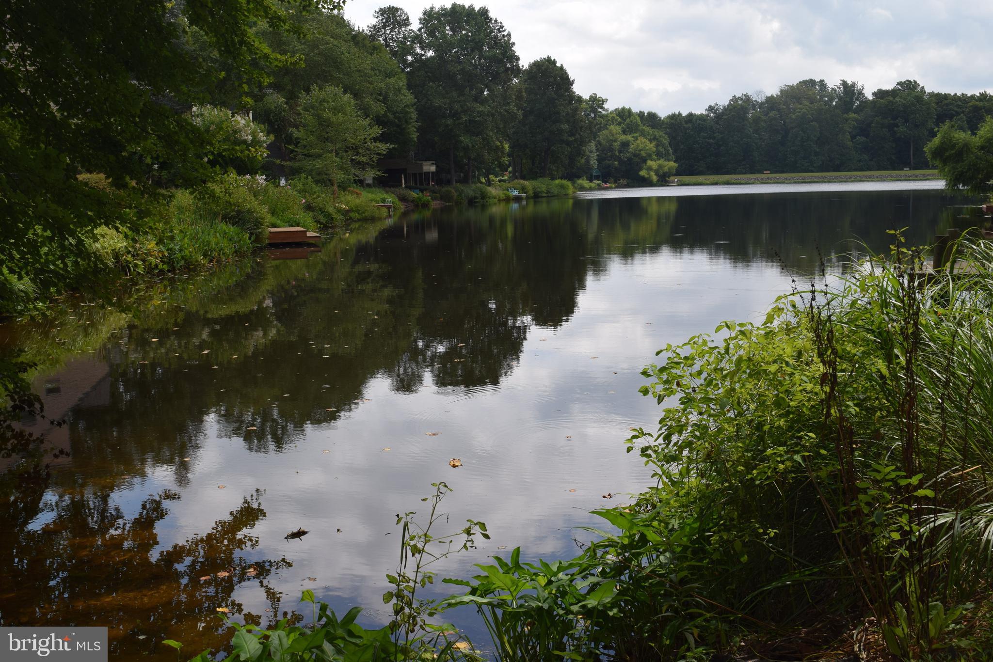 11593 Lake Newport Road Reston, VA 20194 - Photo 9 of 82 Dock at end of walkway to launch your canoe!