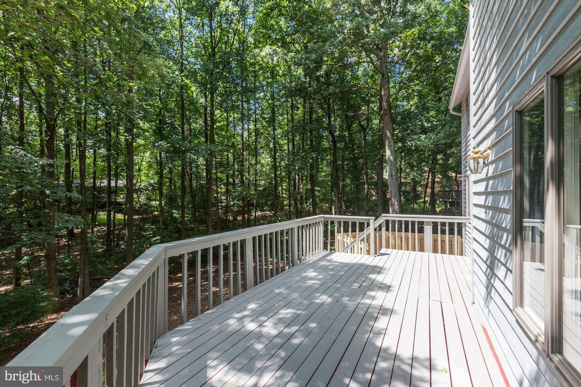 11593 Lake Newport Road Reston, VA 20194 - Photo 81 of 82