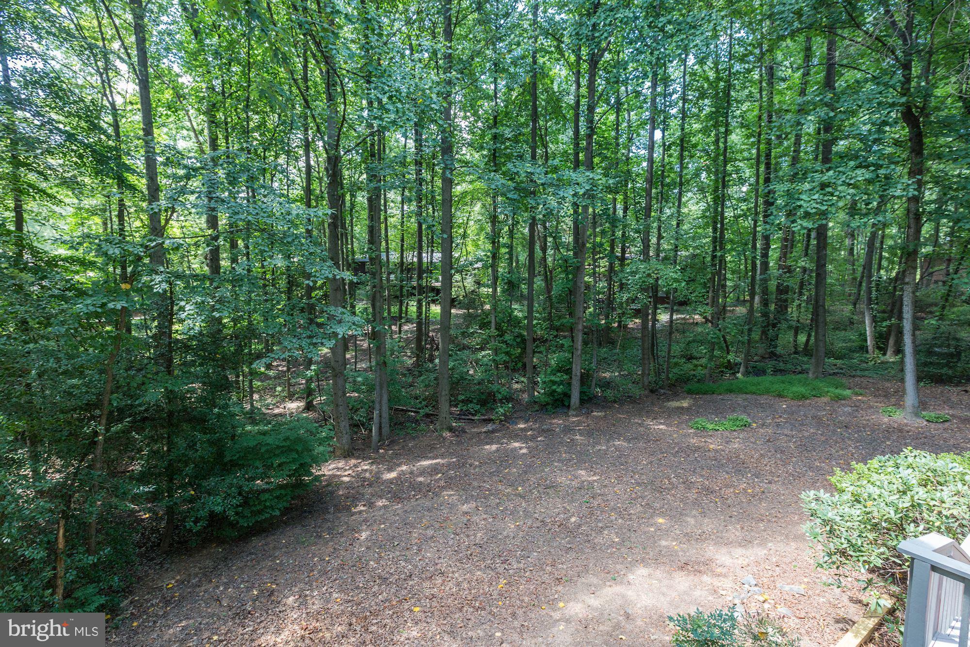 11593 Lake Newport Road Reston, VA 20194 - Photo 82 of 82
