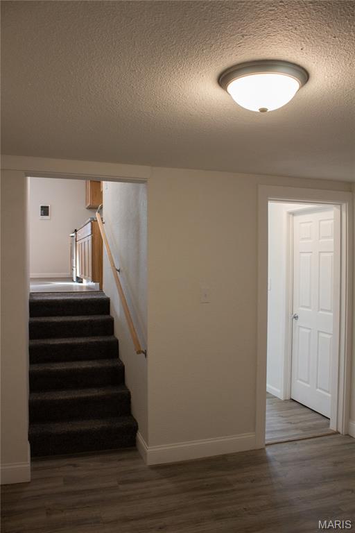 386 Birds Nest Road Steelville, MO 65565 - Photo 11 of 12