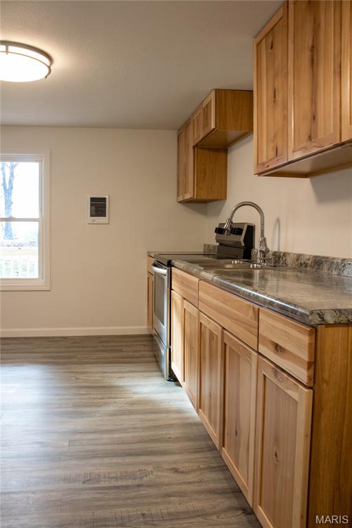 386 Birds Nest Road Steelville, MO 65565 - Photo 9 of 12