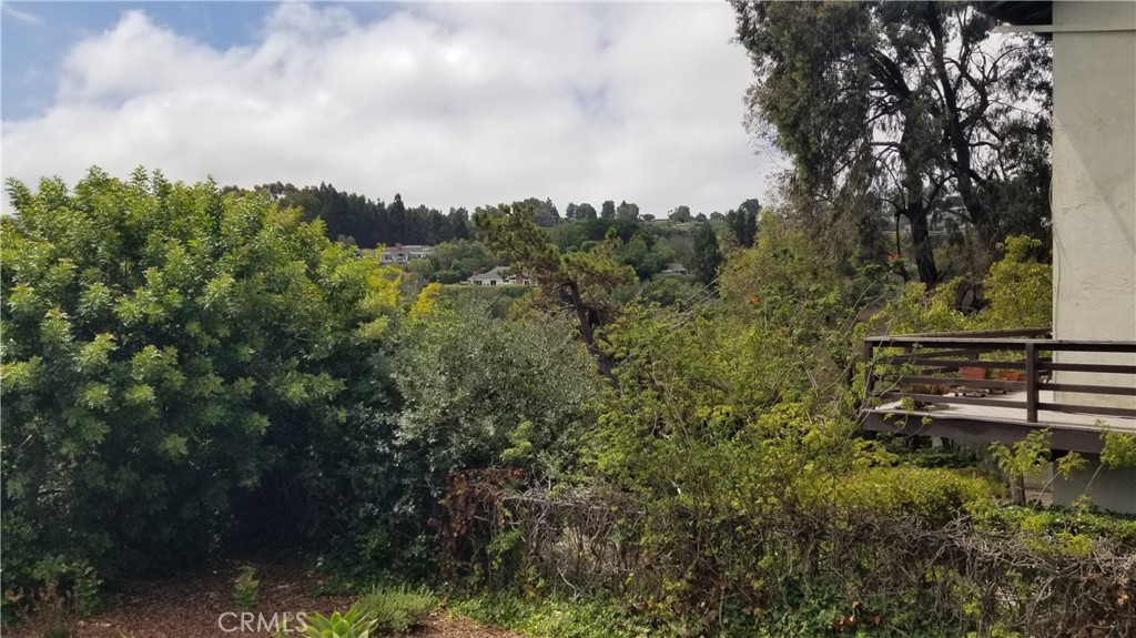 28012 Seashell Way Rancho Palos Verdes, CA 90275 - Photo 12 of 20 a view of a city with lush green forest