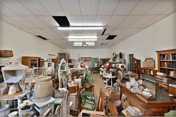 a view of a field with plants and trees