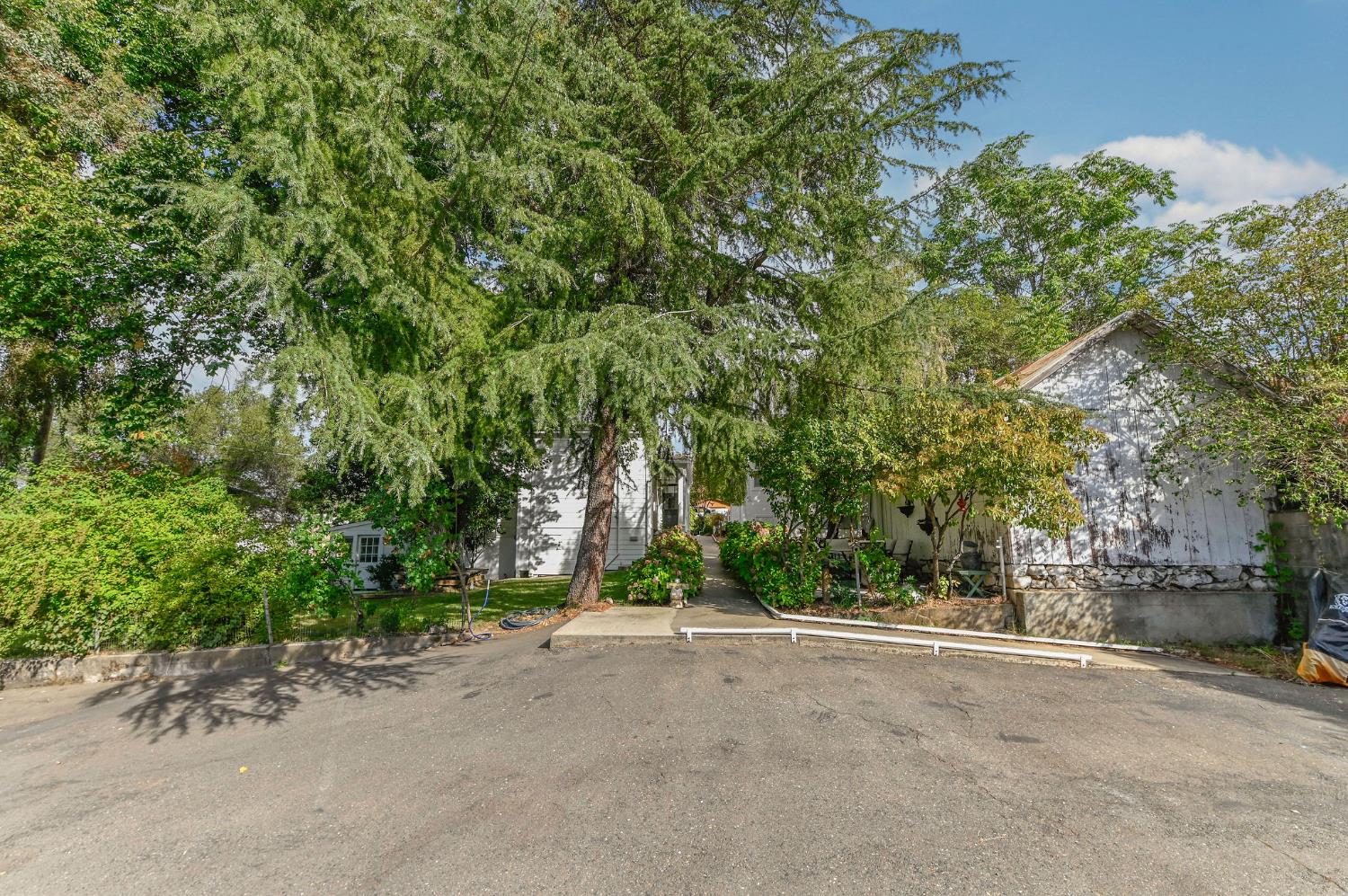 68 Church Hill Road San Andreas, CA 95249 - Photo 77 of 96